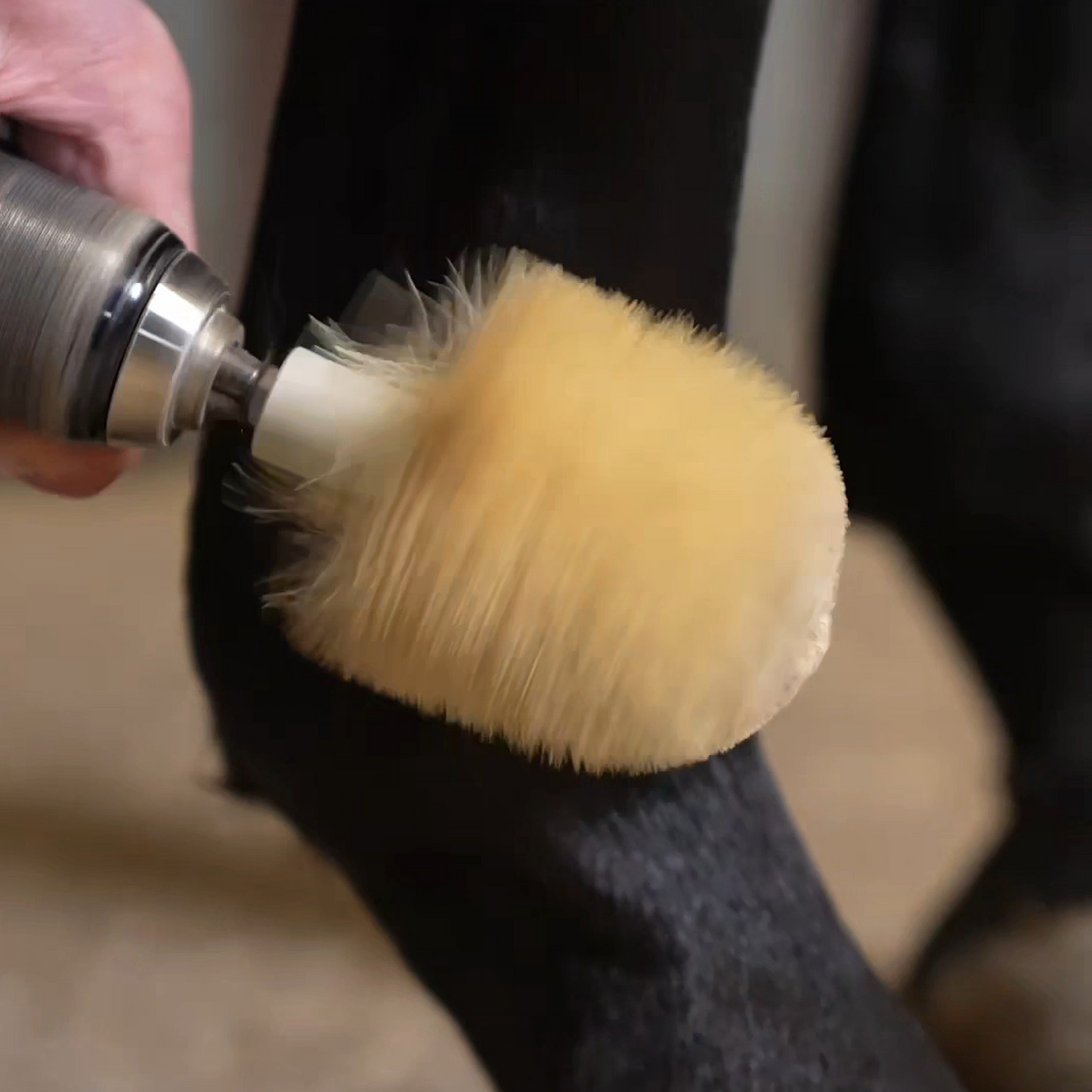 Horse Brush