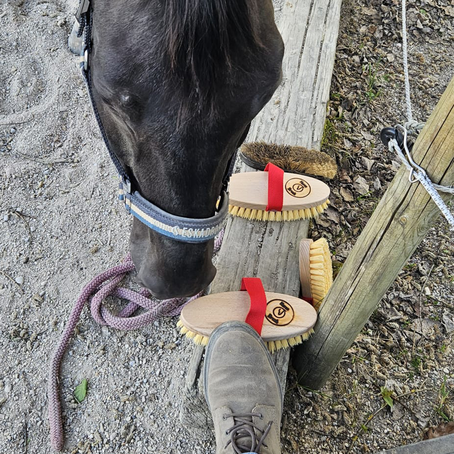 Horse - Brush MaxCare