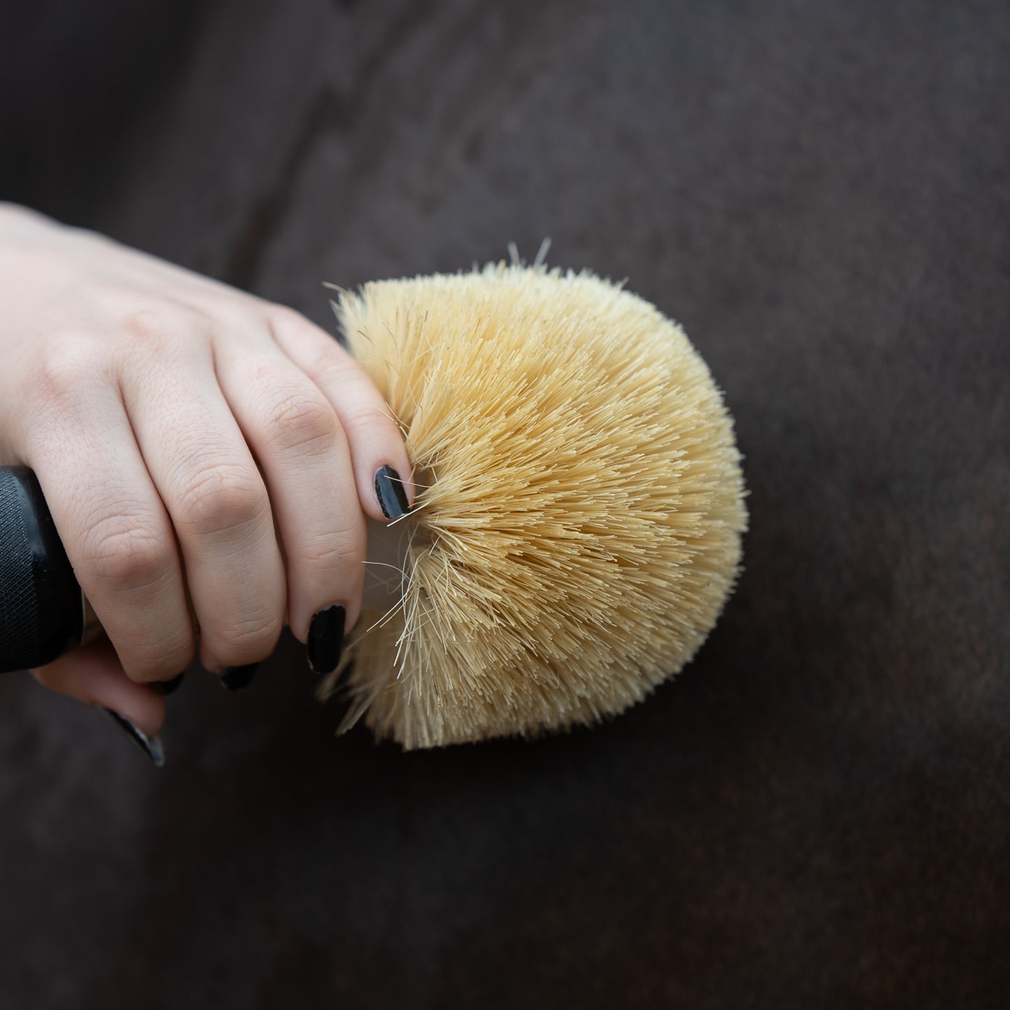 Horse Brush