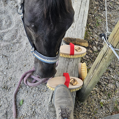 Horse - Brush MaxCare