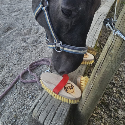 Horse - Brush MaxCare